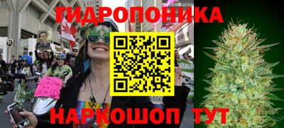 мдма Новодвинск