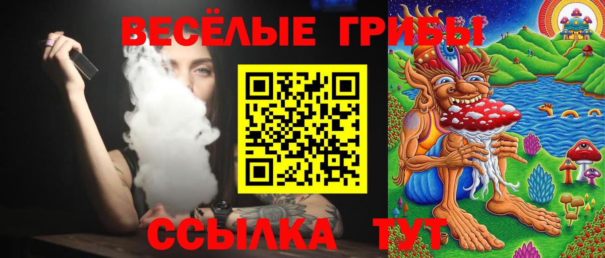 Галлюциногенные грибы Psilocybine cubensis Тимашёвск