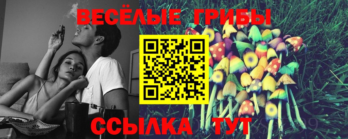 Галлюциногенные грибы Cubensis  Галлюциногенные грибы Cubensis  Тимашёвск  Вход с VPN 